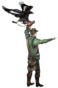 Logo Falknerei Waldreichs