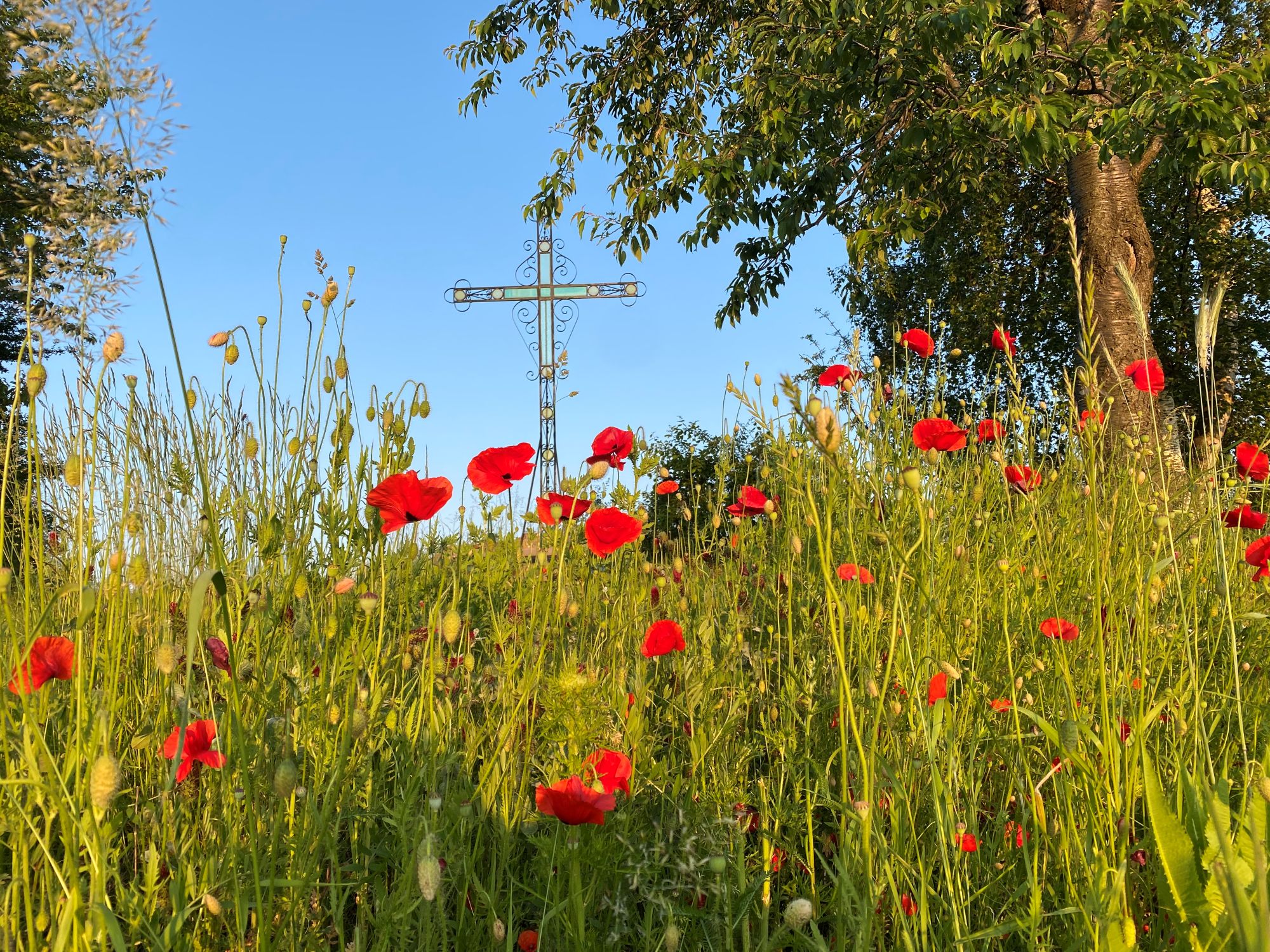 Kreuz in der Nähe des Hofbauerhofs